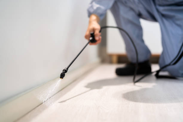 Bed Bug Pre-Treatment Preparation Assessment in Caro
