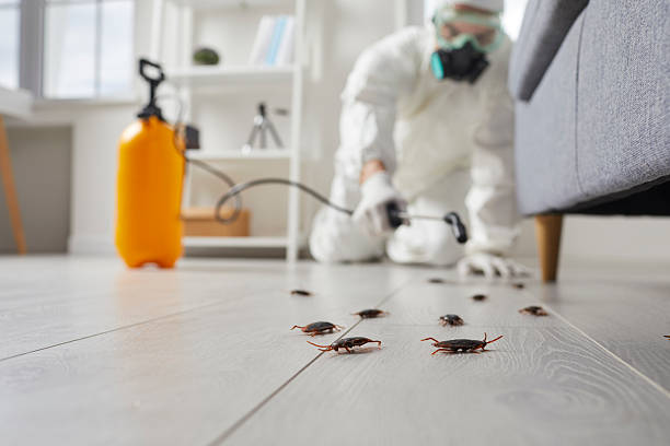 Post-Treatment Bed Bug Interceptor Monitoring in Caro