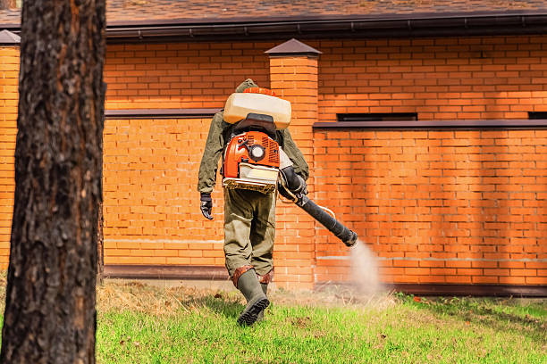 Bed Bug Clearance Verification and Documentation in Caro